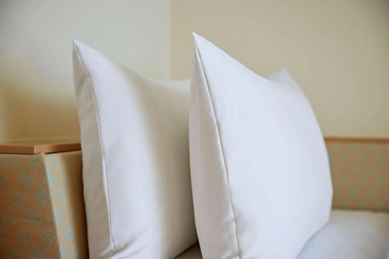 ****  Lindner Hotel Dusseldorf Airport, Part Of Jdv By Hyatt Γερμανία